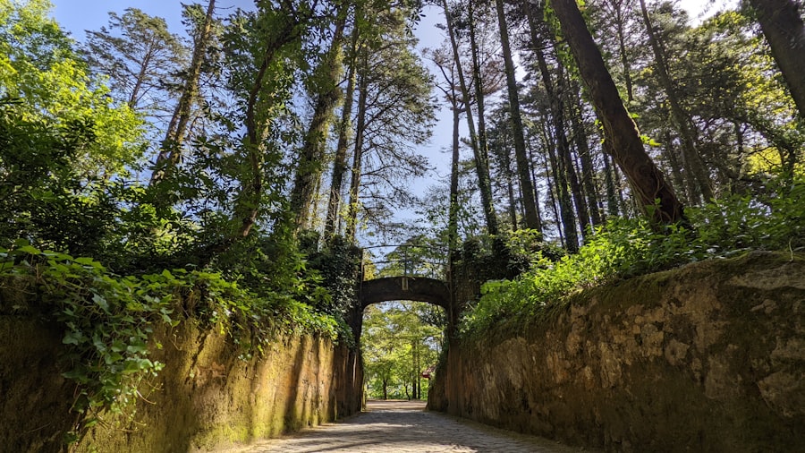 A shaded cobbled path between stone walls and trees in Sintra, passing beneath a stone arch